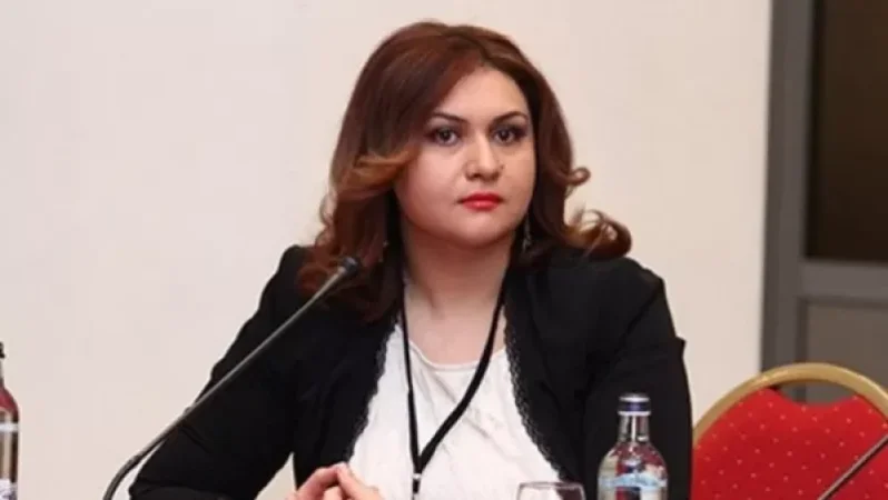 Ադրբեջանը և մեր իշխանությունները վարում են մեզ համար շատ վնասակար քաղաքականություն. Էլիբեգովա