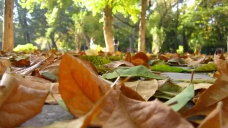 Ի՞ նչ եղանակ է սպասվում առաջիկա օրերին