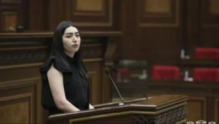 ՆԳՆ նախարարը` Նարեկ Մկրտչյանի եղբոր ձերբակալության մասին