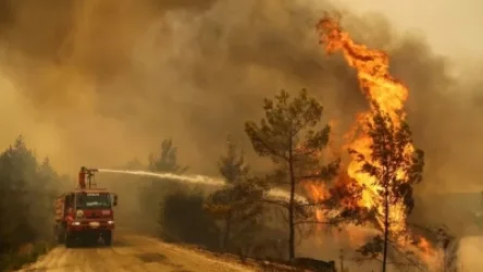 Թուրքիայում ձերբակալել են 7 ռուս զբոսաշրջիկներ` անտառը հրկիզելու կասկածանքով. մանրամասներ