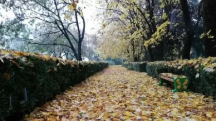 Ջերմաստիճանը մի փոքր կբարձրանա. Եղանակն՝ առաջիկայում