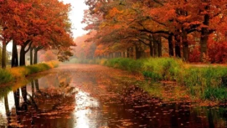 Ի՞նչ եղանակ է սպասվում առաջիկա օրերին