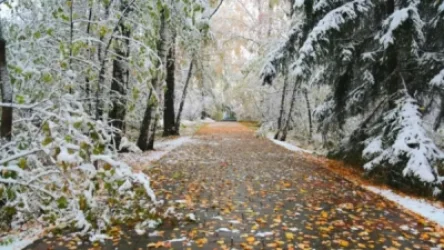 Եղանակը Հայաստանում. թաց ձյուն է սպասվում ու օդի ջերմաստիճանի բարձրացում