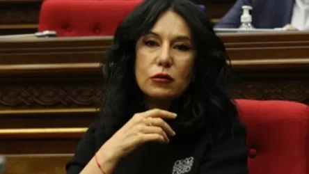 «Առաջարկում եմ սահմանել էպիկ իդիոտիզմի պետական հարկ». Նաիրա Զոհրաբյան