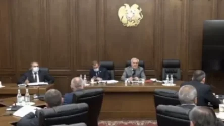 ՏԵՍԱՆՅՈՒԹ. Ձի, շուն...էլ ինչ  ի՞նչ կենդանիներ ենք օգտագործում սահմանի պահպանման գործում. ծիծաղելով հարցնում է Արծվիկ Մինասյանը