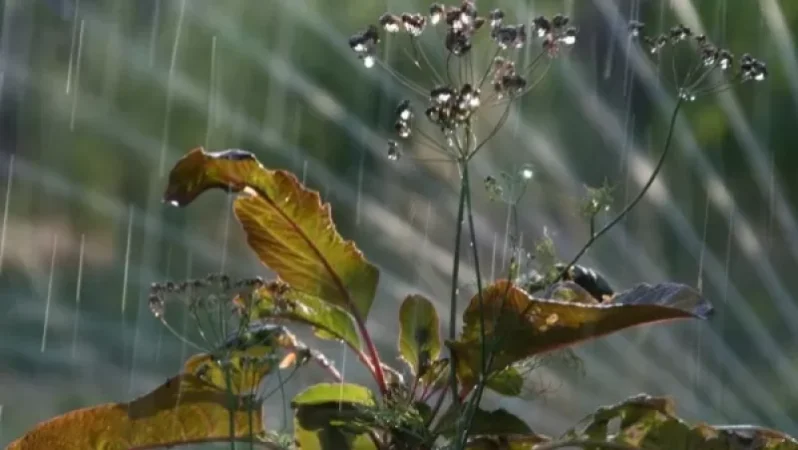 Ջերմաստիճանը կրկին կնվազի. ինչ եղանակ է սպասվում