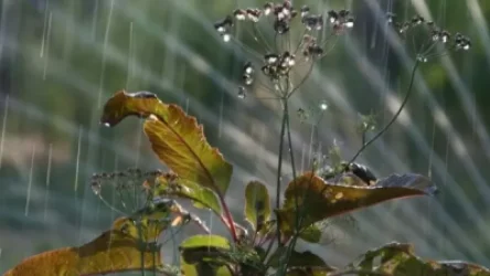 Ջերմաստիճանը կրկին կնվազի. ինչ եղանակ է սպասվում