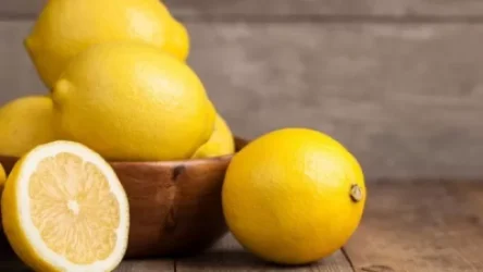 Ռուսաստանը կասեցնում է թուրքական կիտրոնի ներկրումը