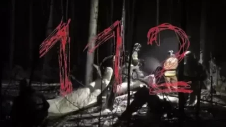 ՏԵՍԱՆՅՈՒԹ. ԱՆ-12 օդանավի կործանման վայրում հինգ զոհի մնացորդներ են հայտնաբերվել. որոնումները շարունակվում են