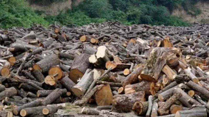 Պետությանը պատճառել են  37մլն դրամի վնաս. 6 պաշտոնատար անձի մեղադրանք է առաջադրվել