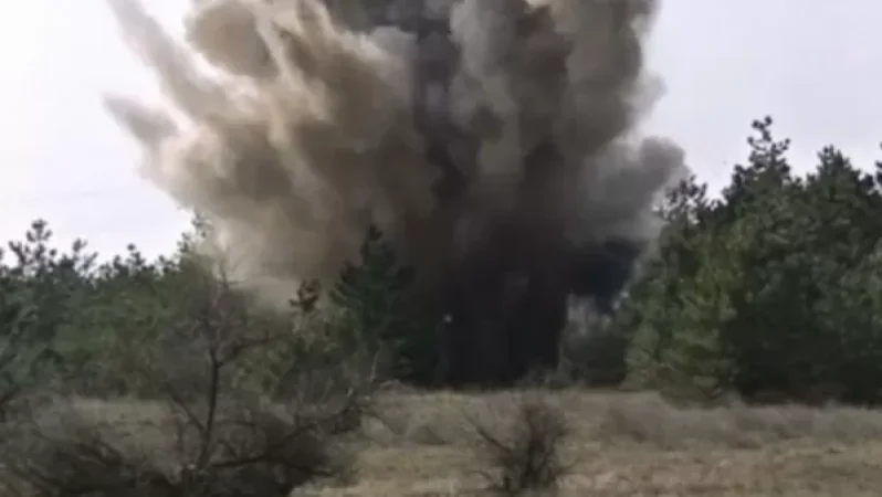 Ներքին Հանդում ականների վրա անասուններ են սատկել.  Aravot. am