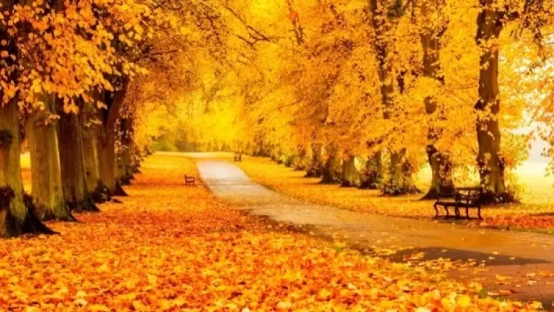 Առաջիկա 4 օրվա եղանակի կանխատեսում