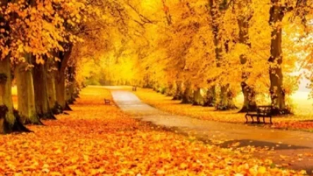 Առաջիկա 4 օրվա եղանակի կանխատեսում