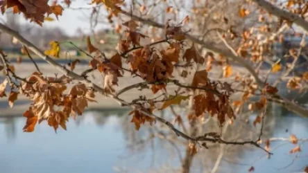 Տեղումներ՝ անձրևի և ձյան տեսքով. ինչ եղանակ է սպասվում