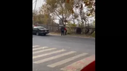 ՏԵՍԱՆՅՈՒԹ. Բերման է ենթարկվել փողոցում կնոջը ծեծած տղամարդը