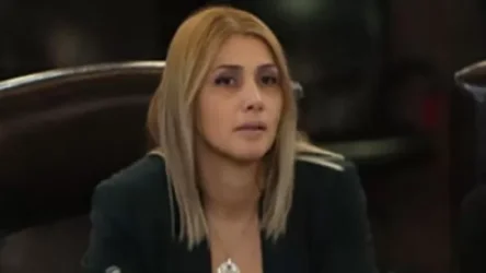 «Գորիս-Կապան մայրուղին վերջնականապես նվիրել են Ադրբեջանին». Էլինար Վարդանյան