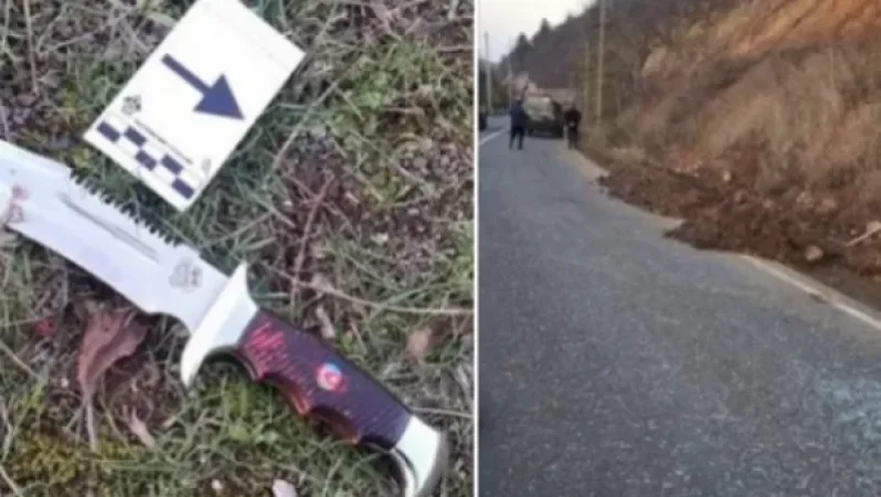 Պետք է բացառել Մարտիկի վրիժառու եղբոր հանձնումը թուրքերի կամ որևէ երրորդ կողմի իրավազորությանը. Մելիքյան