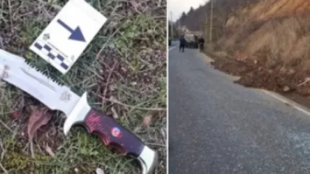 Պետք է բացառել Մարտիկի վրիժառու եղբոր հանձնումը թուրքերի կամ որևէ երրորդ կողմի իրավազորությանը. Մելիքյան