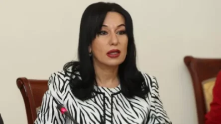 ՏԵՍԱՆՅՈՒԹ. Առաջարկում եմ թուրքերին մի հատ էդպիսի «բուդկա»  դնեն Անդրանիկ Քոչարյանի տան մեջ. Նաիրա Զոհրաբյան