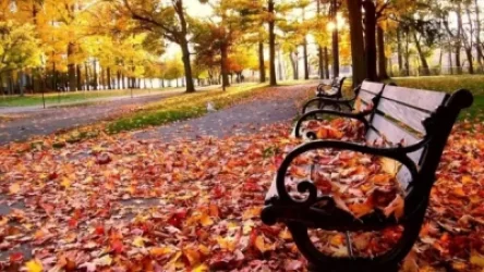 Աաջիկա օրերի եղանակը Հայաստանում