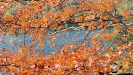 Ինչ եղանակ է սպասվում առաջիկա օրերին