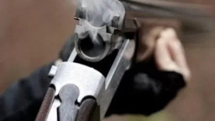 Գառներին հոշոտելու մեջ կասկածել է հարևանի շանը և գյուղի որսորդին պատվիրել է սատկացնել