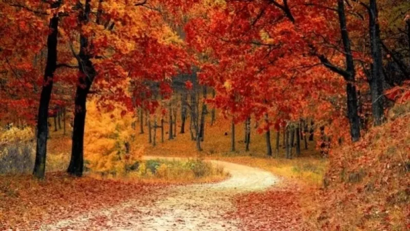 Եղանակը Հայաստանում. ճանապարհները մարզերում