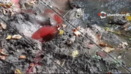 Հայտնաբերել են Տավուշի մարզում 65–ամյա տղամարդուն սպանած ենթադրյալ կասկածյալին, ով սպանվածի համագյուղացին Է