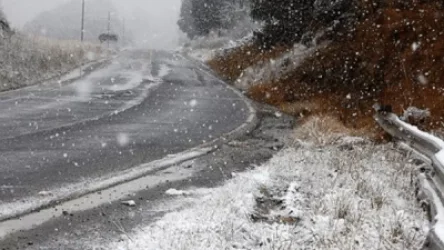 Սպասվում են տեղումներ