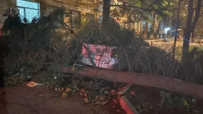 Photos: Mass Power Outages in Crimea Due to Severe Storm, Injuries Reported