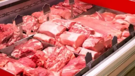 «Երեմյան փրոջեքթս»-ին պատկանող ռեստորանում հավի և տավարի մսի խճողակներում հայտնաբերվել է սալմոնելա. ՍԱՏՄ