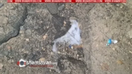 12 օր է, խմելու ջուրն անխնա հոսում է. Վեոլիա Ջուրը ցուցաբերում է անմարդկային վերաբերմունք, ինչ է, թե էլեկտրոցանցն է վնասել ջրախողովակը. Shamshyan. com