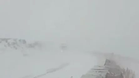 ՏԵՍԱՆՅՈՒԹ. Շիրակի մարզում բուք է. ուժեղ քամին ու ձյունը դժվարացնում են երթևեկությունը