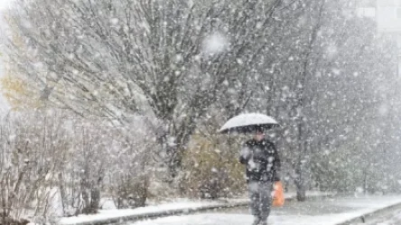 Սպասվում են տեղումներ