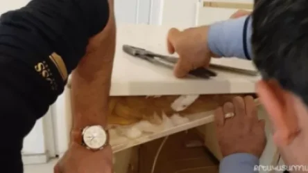 15 բջջային հեռախոս՝ կալանավորի համար բերված սառնարանում