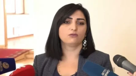 Ով վճարում է, նա պետք է առանց հերթի մտնի, իսկ պետպատվերը թող սպասի.  Թովմասյանը զինծառայողների բուժսպասարկման խնդրի մասին