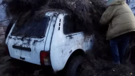 ՏԵՍԱՆՅՈՒԹ. Ավտոմեքենան փախցրել ու թաքցրել են խոտի դեզի տակ. ոստիկանների բացահայտումը