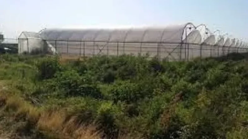 Ես հող ծախող չեմ. կարող ա՞ գիտեք ես Նիկոլն եմ. «Հրապարակ»