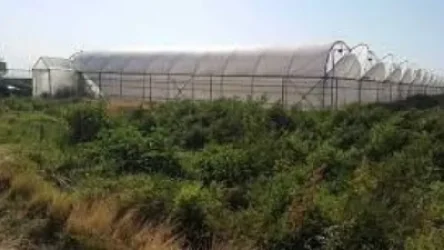 Ես հող ծախող չեմ. կարող ա՞ գիտեք ես Նիկոլն եմ. «Հրապարակ»