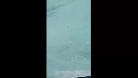 ՏԵՍԱՆՅՈՒԹ. Ադրբեջանցիները բռնություն են գործադրել ու սպանել 65-ամյա ճարտարցուն. ԱԱԾ-ն կադրեր է հրապարակել