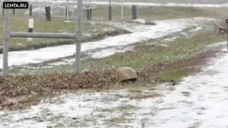 Video: Cadets of Voronezh Air Force Academy Create Spy Stone