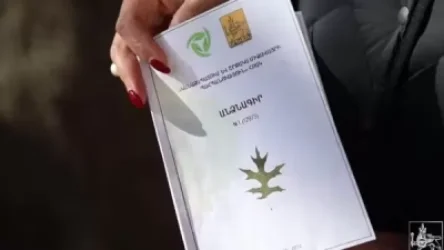 Երևանի ամենատարեց ծառերը անձնագրեր կունենան. Քաղաքապետարան