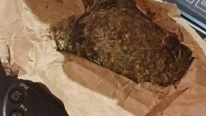 Drugs Thrown into Sevan Penitentiary Area: Details Revealed