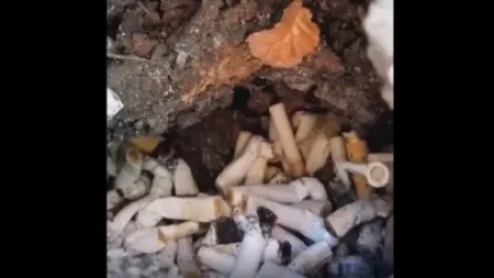 ՏԵՍԱՆՅՈՒԹ․ «Ասաց՝ բա հո գետնին չեմ թափելու. 60-ին մոտ կին էր». Սարգսյան