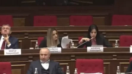 ՏԵՍԱՆՅՈՒԹ. Թոշակի համար փող չկա, բայց Ալեն Սիմոնյանի նոր «պադավատի» համար 200 հազար դոլար կա. պատգամավոր