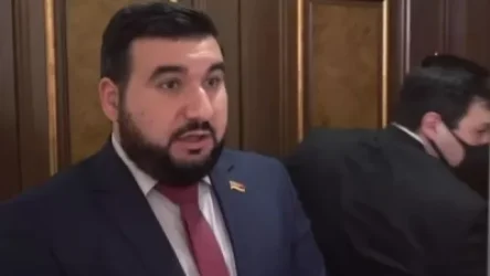 ՏԵՍԱՆՅՈՒԹ. Լկտի պահվածք էին դրսևորում. Ալեքսանյանը՝ ծեծկռտուքի մասին