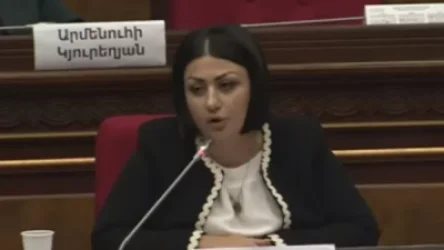 «Երբ ես խոսում եմ, լռեք.. ես իրավունք ունեմ խոսելու, իսկ դուք իրավունք չունեք ընդհատելու». ընդդիմադիր պատգամավոր