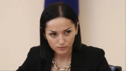 Ձեզ համար Հայաստանի պետականությունը վտանգ է․ Ծովինար Վարդանյանը՝ ընդդիմությանը