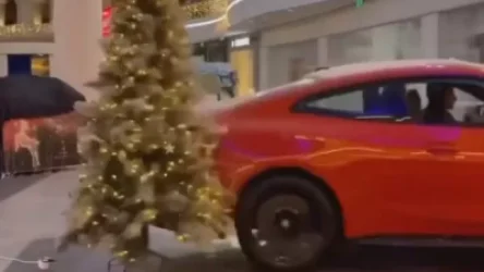 ՏԵՍԱՆՅՈՒԹ. Մեքենայով առևտրի կենտրոն ներխուժած և եղևնին տապալած բլոգերի տեսանյութը բեմադրված է եղել