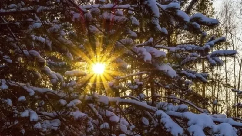 Եղանակը՝ առաջիկա օրերին